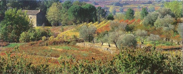 Les choses les plus simples et les plus dpouilles, sans fioritures, sont celles qui nous procurent les plus grandes joies... comme ce paysage de Provence...